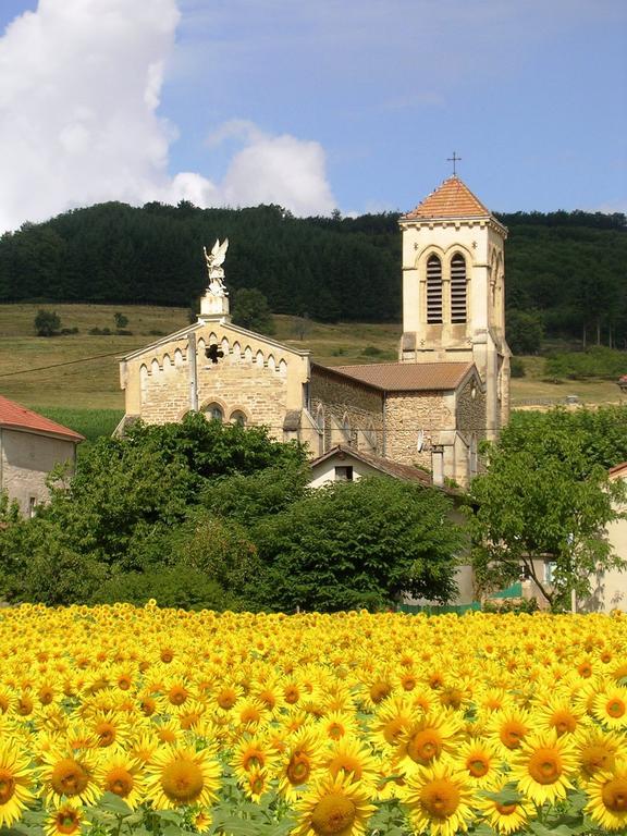 Chambre d'hôtes Tardy Saint-Michel-sur-Savasse Exterior foto